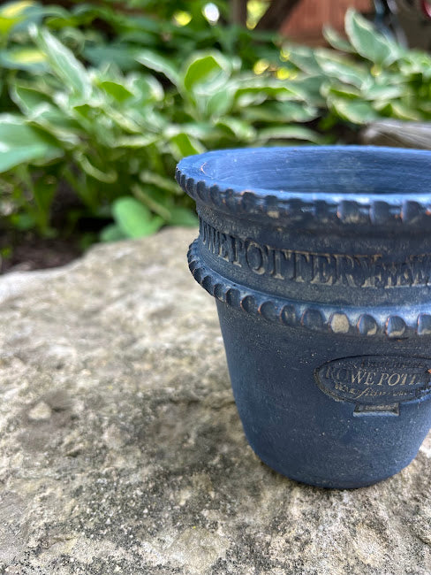 Bartram Garden Pot #6  (1 Color)