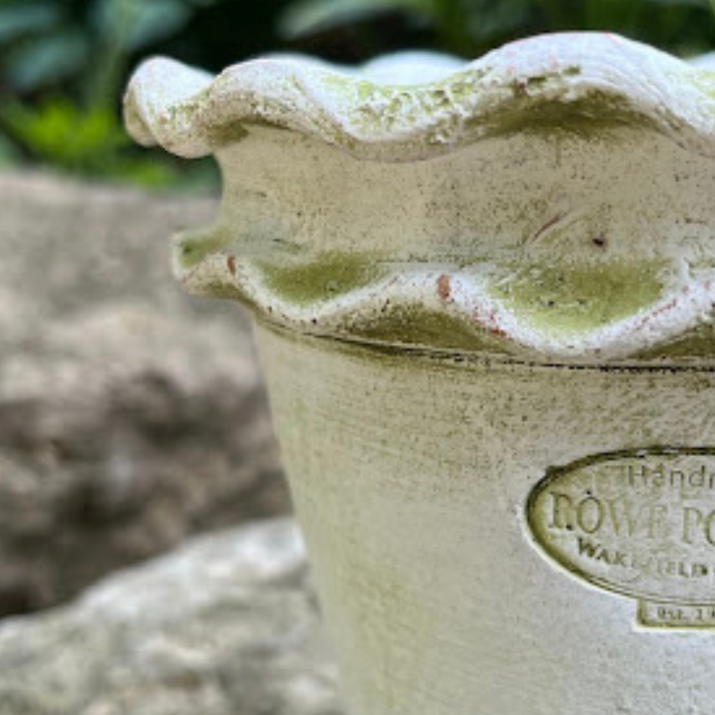 Galena Garden Pot #6  (1 Color)